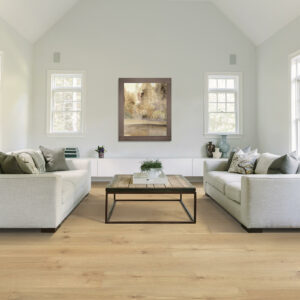 Living room flooring | Havertown Carpet