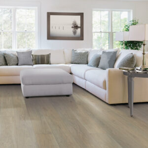 Living room flooring | Havertown Carpet