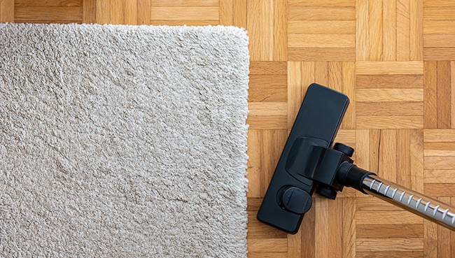 Daily Rug Care | Havertown Carpet