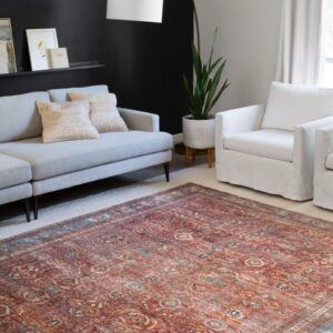 Loloi Area Rug | Havertown Carpet