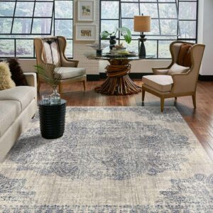 Area rug for living room | Havertown Carpet