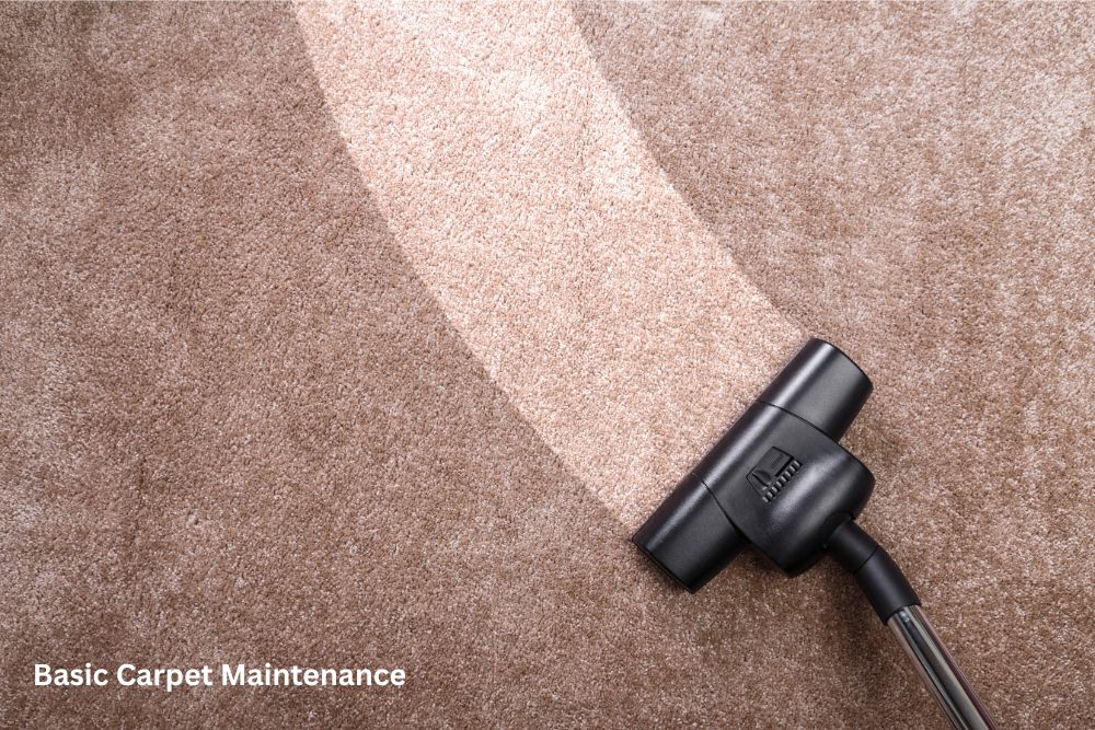 Carpet floor cleaning | Havertown Carpet